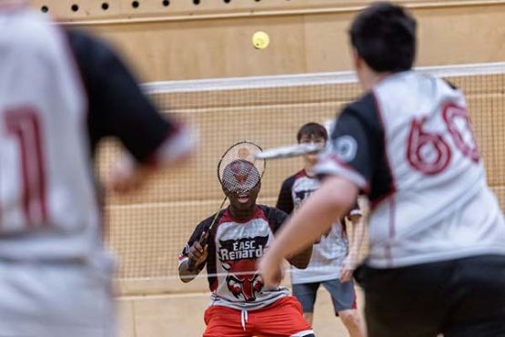 NTSSA Badminton