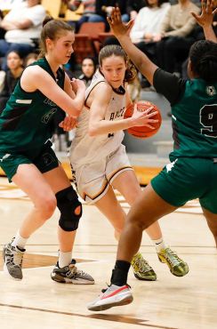 MHSAA_girls basketball